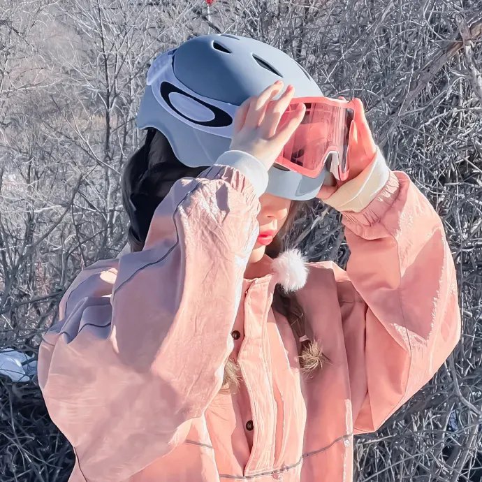 雪山飞狐粤语